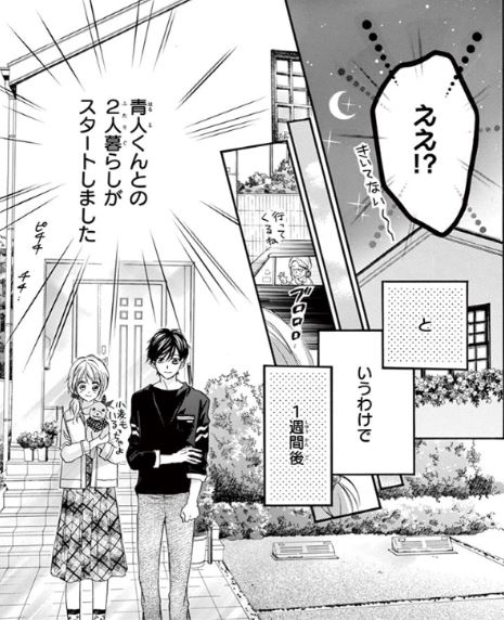 恋降るカラフル9巻は漫画村や星のロミの裏ルートで無料で読めるって本当 Manga Newworld