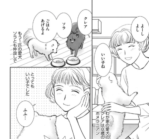 強制除霊師 斎 分冊版 41話巻は漫画村や星のロミの裏ルートで無料で読めるって本当 Manga Newworld